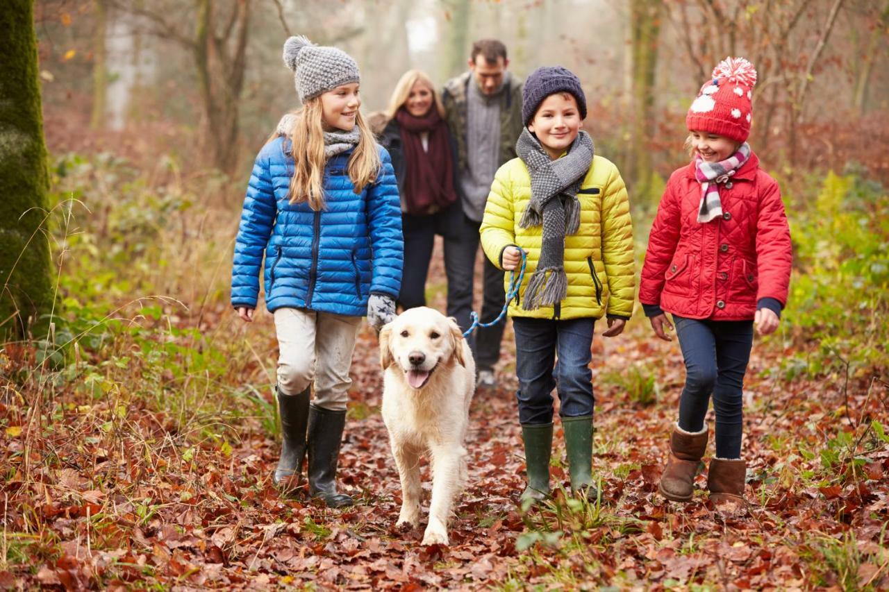 Macdonald Woodland Lodges At Macdonald Aviemore Resort Bagian luar foto